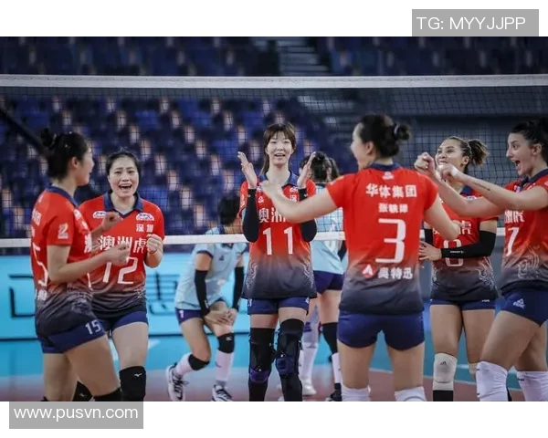 深圳排球队实力变革引发热议展望未来发展新机遇