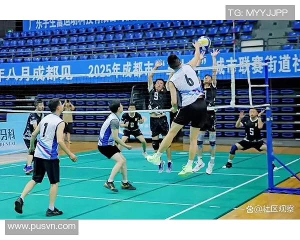 成都排球队近期表现分析与未来发展方向探讨 成都排球队近期表现分析与未来发展方向探讨