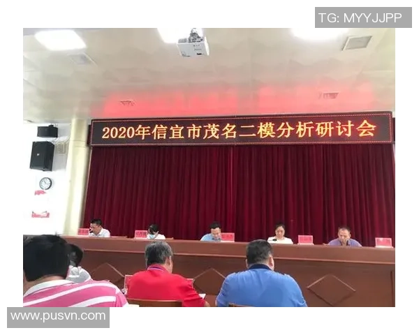 新蔡足球崛起之路：从基层培养到职业联赛的辉煌征程