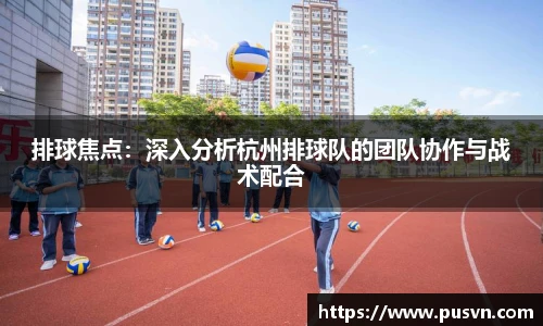 皇冠体育官方网站