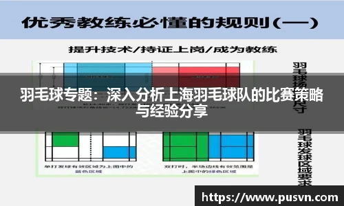 羽毛球专题：深入分析上海羽毛球队的比赛策略与经验分享